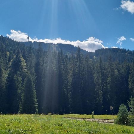 Elit Pamporovo Accommodation Bagian luar foto