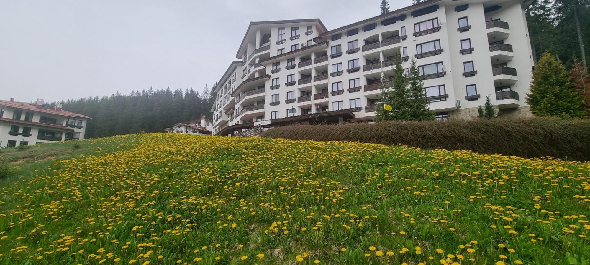 Elit Pamporovo Accommodation Bagian luar foto