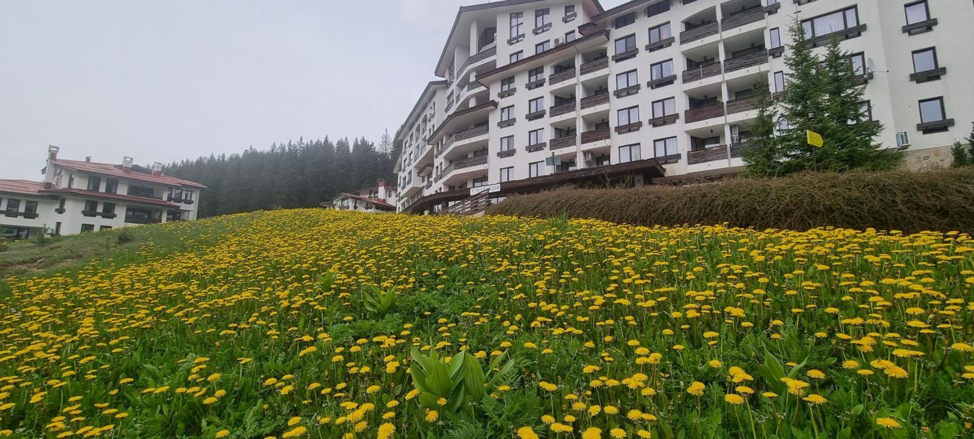 Elit Pamporovo Accommodation Bagian luar foto